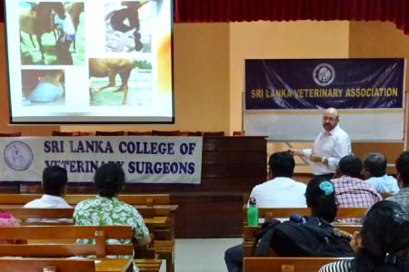 Training Course on Equine Medicine and Surgery