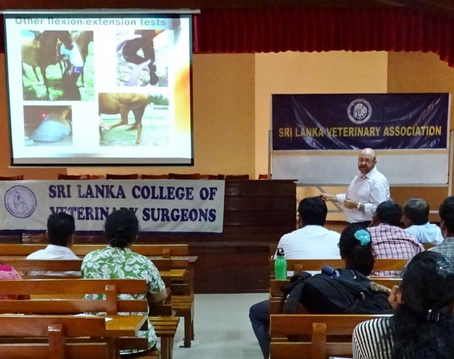 Training Course on Equine Medicine and Surgery
