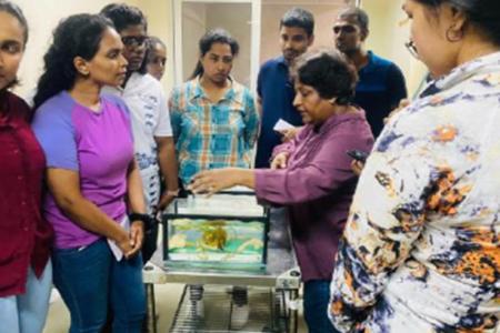 Course on Zebrafish as an Alternative Model