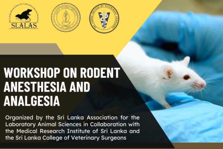 Workshop on Rodent Anesthesia and Analgesia