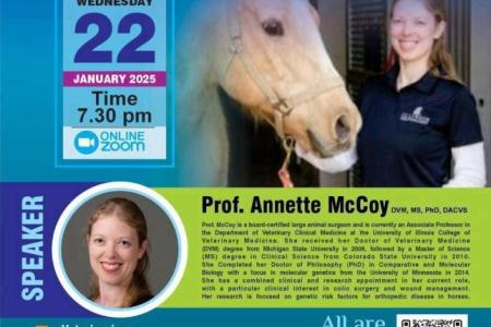 Equine Colic: What Owners Need to Know